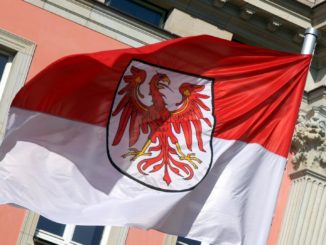 Insa: AfD in Brandenburg klar stärkste Kraft