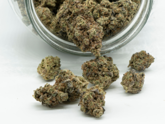 Hanfverband sieht Nachbesserungsbedarf bei Cannabislegalisierung