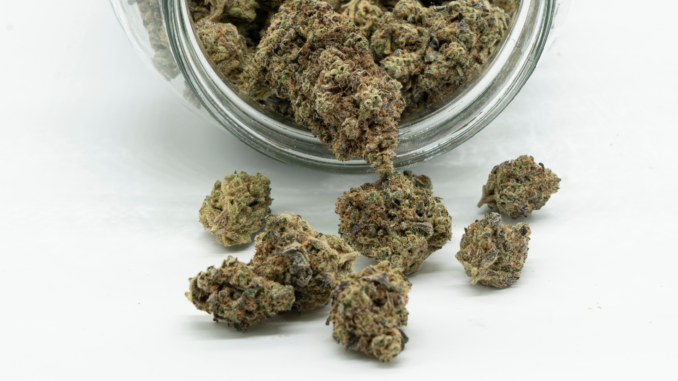 Cannabis (über cozmo news)