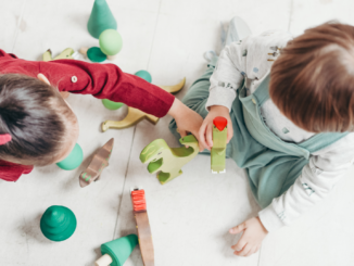 Lindner-Berater stellt Kindergrundsicherung und Rentenpaket infrage