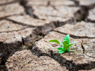 Ein Viertel der Menschheit mit extremem Wasserstress konfrontiert