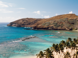 Zahl der Toten auf Maui steigt auf 111 – Rund 1.000 Vermisste