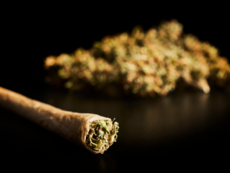 Kinderärzte für örtliche Begrenzung von Cannabis-Legalisierung