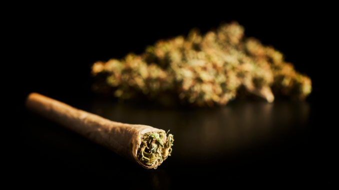 Cannabis (über cozmo news)