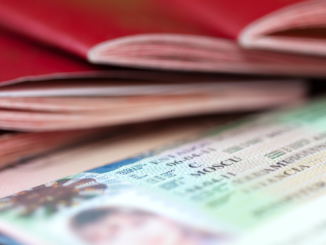 DIW begrüßt Ampel-Pläne für schnellere Einbürgerung