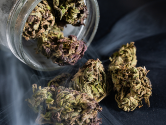 Kritiker bemängeln geplante Schutzzonen bei Cannabislegalisierung