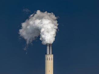 Wirtschaftsweise Schnitzer gegen CO2-Preis-Erhöhung ohne Klimageld