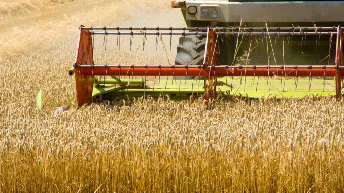 Getreideernte (über cozmo news)