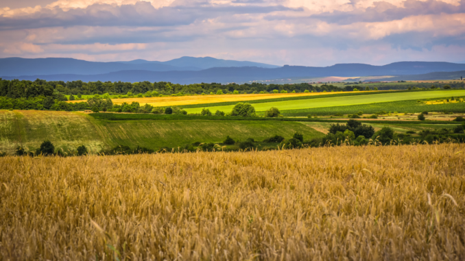 Landwirtschaft (über cozmo news)