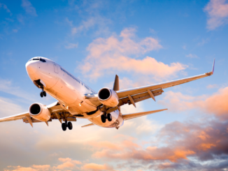 Frankreich fliegt auch Deutsche aus Niger aus