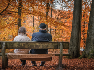 Nahles fordert Abschaffung der „unseligen Frühverrentungspraxis“