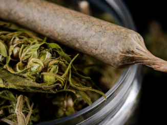 Kabinett gibt grünes Licht für Teillegalisierung von Cannabis