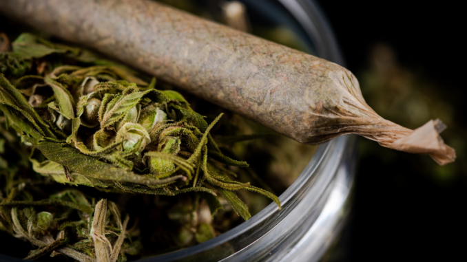 Cannabis (über cozmo news)