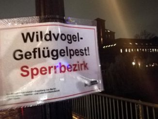 Erneut Geflügelpest bei Wildvögeln in Deutschland nachgewiesen Erneut Geflügelpest bei Wildvögeln in Deutschland nachgewiesen