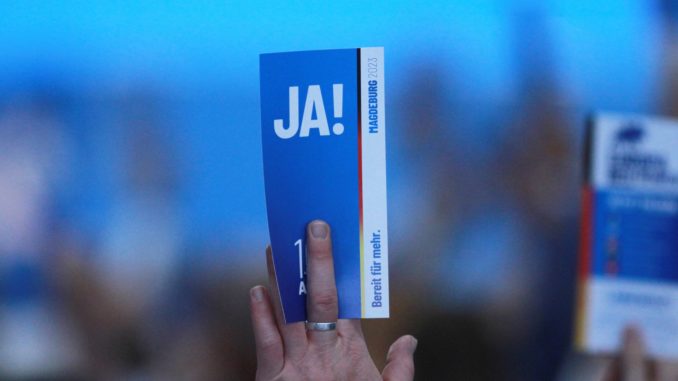 Abstimmung auf AfD-Parteitag (Archiv) (über dts Nachrichtenagentur)