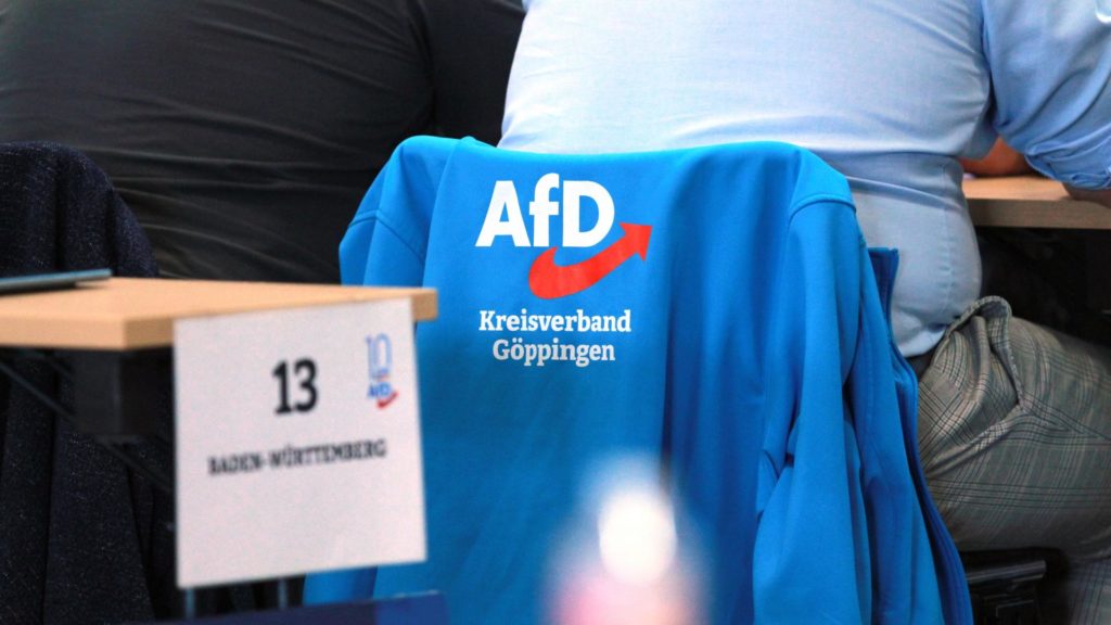 Prodemokratische Parteien loben Haldenwang für Äußerungen zur AfD