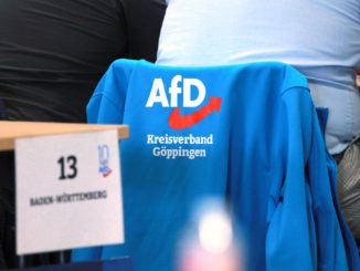 Prodemokratische Parteien loben Haldenwang für Äußerungen zur AfD