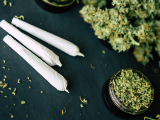 Modellversuch „Grashaus Project“: Schweiz plant ersten legalen Cannabis-Shop Europas