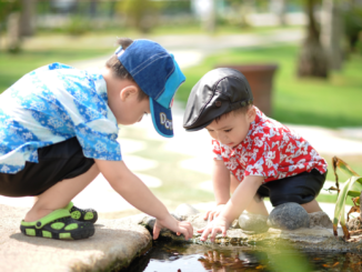 DIW sicher: Kindergrundsicherung bedeutet zunächst keine Verbesserung