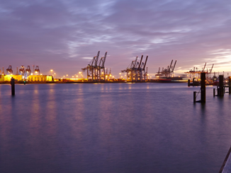 Reederei MSC will beim Hamburger Hafen einsteigen