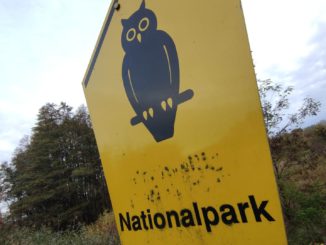 IPBES: Bedrohung durch invasive Arten wird unterschätzt