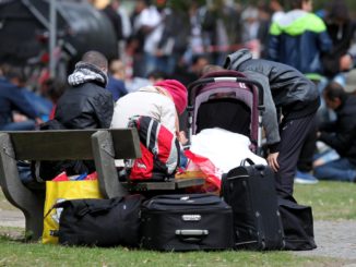 Haseloff vermisst Migrationsthema beim „Deutschland-Pakt“