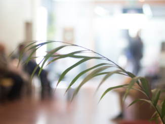 Studie: Hohe Arbeitslosigkeit behindert Integration