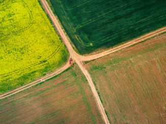 Erzeugerpreise landwirtschaftlicher Produkte sinken weiter
