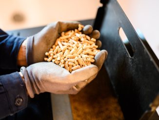 SPD und FDP wollen auch reine Holz- und Pelletheizungen fördern
