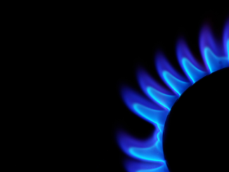 Linke ruft Scholz zu Aufkündigung von Gas-Deal mit Katar auf