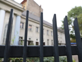 Haldenwang warnt vor gezielter Gewalt gegen Juden