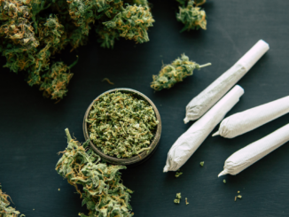 Cannabis-Entkriminalisierung kommt doch nicht zum 1. Januar 2024