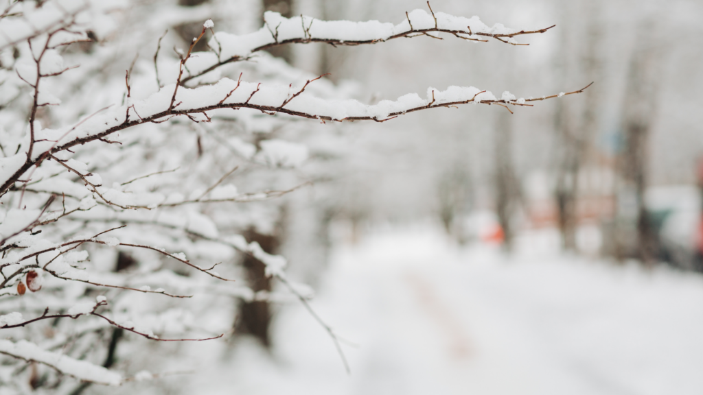 Extremes Winterwetter: Wohnungslosenhilfe mahnt mehr Hilfe an