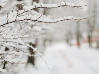 Extremes Winterwetter: Wohnungslosenhilfe mahnt mehr Hilfe an