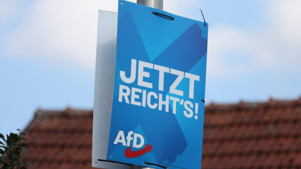 AfD-Wahlplakat (Archiv) (über dts Nachrichtenagentur)