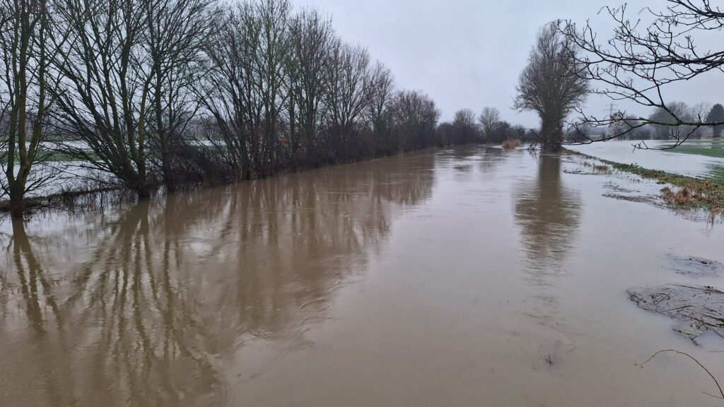 Überschwemmung am Fluss Aue in Niedersachsen (via über dts Nachrichtenagentur)