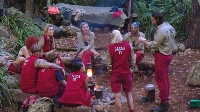 IBES - Kandidaten - (über RTL)