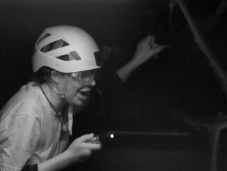 #IBES 2024: Dschungelprüfung „ReparaTortur“