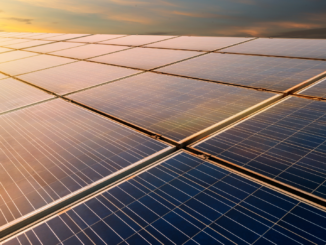 Ampel streitet über Resilienz-Bonus für deutsche Solar-Hersteller