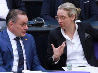 Ampel diskutiert Streichung staatlicher Zuschüsse für die AfD