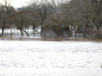 Bundeswehr erwartet weitere Hilfsanfragen aus Hochwassergebieten