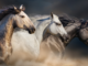 Mut zum Trab: Die Angst vor dem Reiten überwinden
