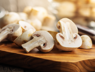 Champignonernte 2023 leicht gegenüber 2022 gestiegen 