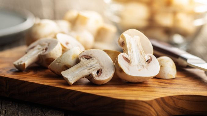 Champignon (über cozmo news)