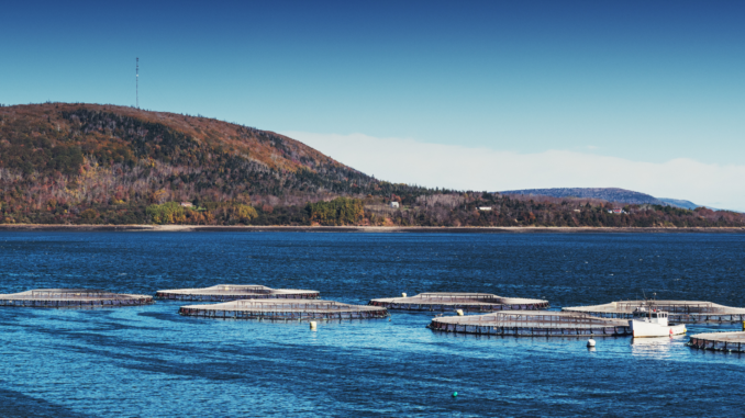 Bisherige Aquakultur (über cozmo news)