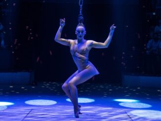 Flic Flac X-Mas Show in Nürnberg: Nervenkitzel pur