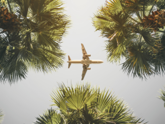 Trendreport: So verreisen die Deutschen 2025