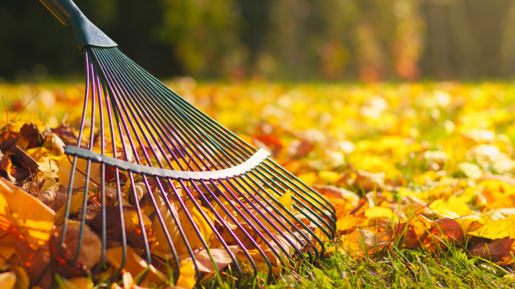 Gartenarbeit im Winter – von Bodenpflege bis Schnitt