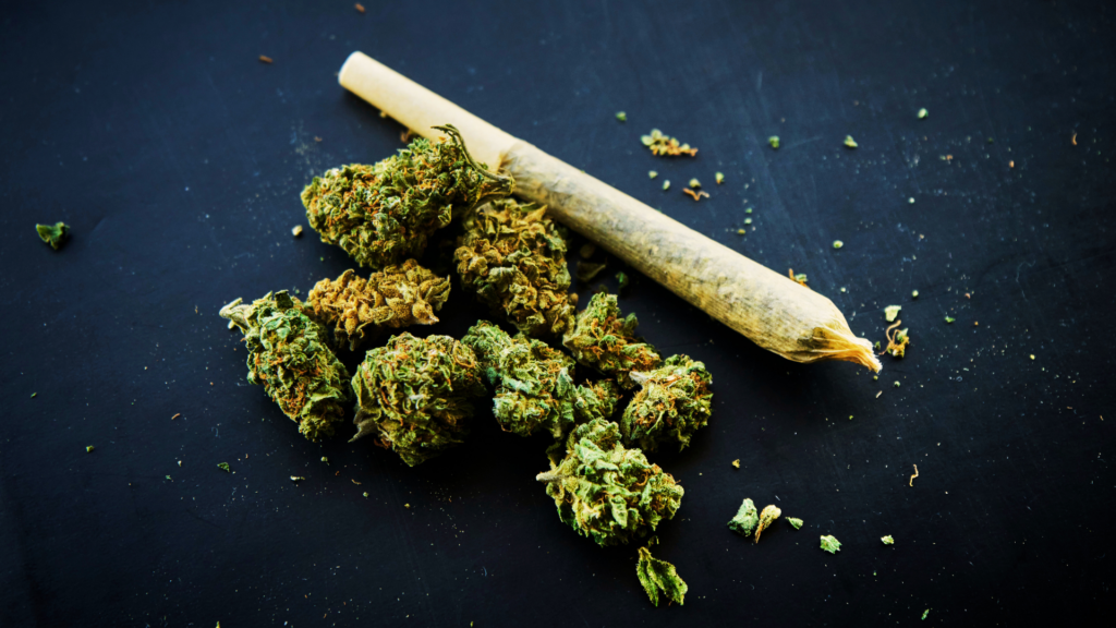 Umfrage: Über 80 Prozent würden nicht bei Cannabis-Konsumenten mitfahren