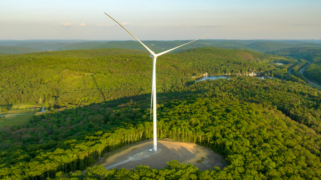 5 Fragen, 5 Antworten: Das solltest Du über Ökostrom wissen 5 Fragen, 5 Antworten: Das solltest Du über Ökostrom wissen